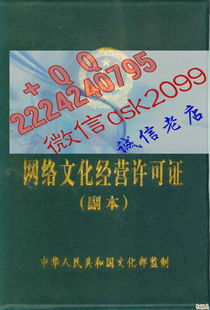 網絡文化經營許可證 數(shù)字內容產業(yè)的通行證與規(guī)范樣本